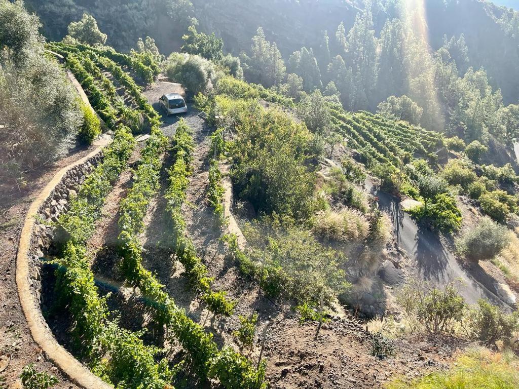 Villa De Taburiente 埃尔帕索 外观 照片